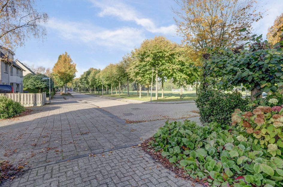 Zonnehoven 1