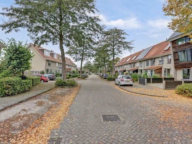 Corridor 49, Zeewolde