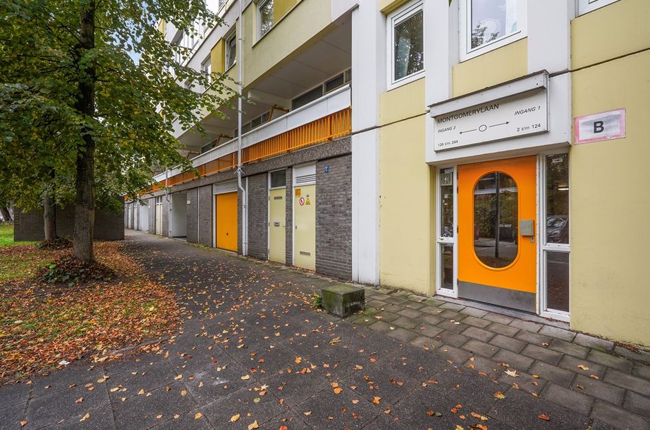 Montgomerylaan 116