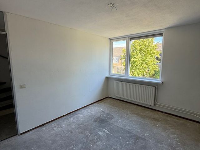 Lisgors 20, Mijnsheerenland