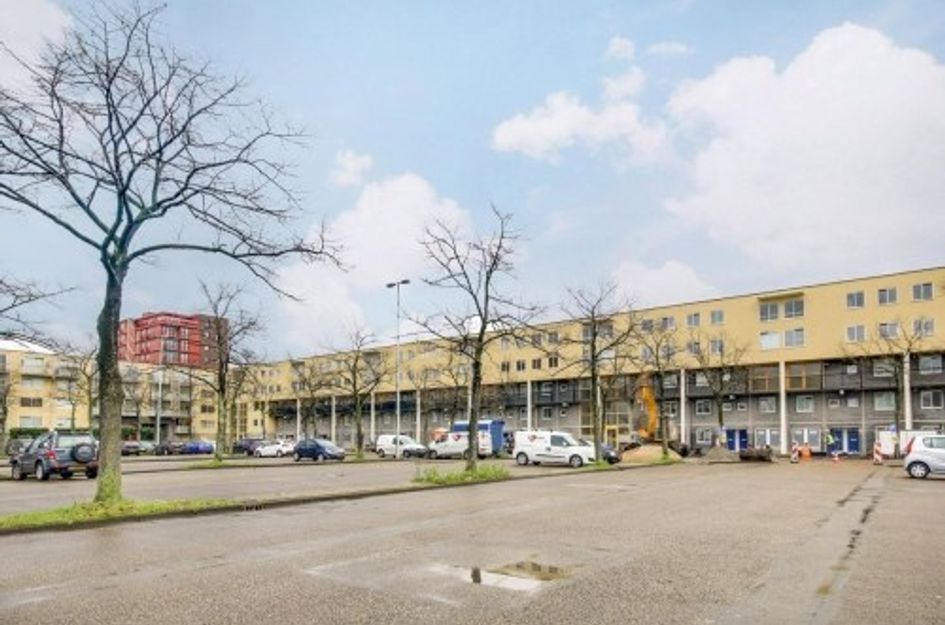 Wamelplein ONG