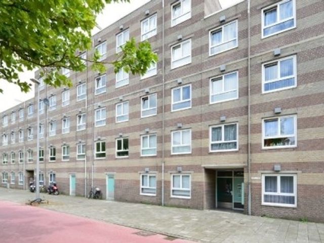 Daniël Defoelaan ONG, Amsterdam