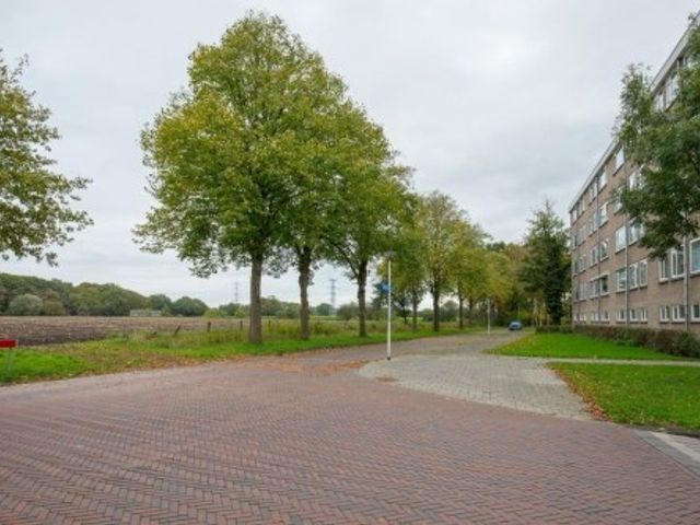 J J Van Deinselaan ONG, Enschede