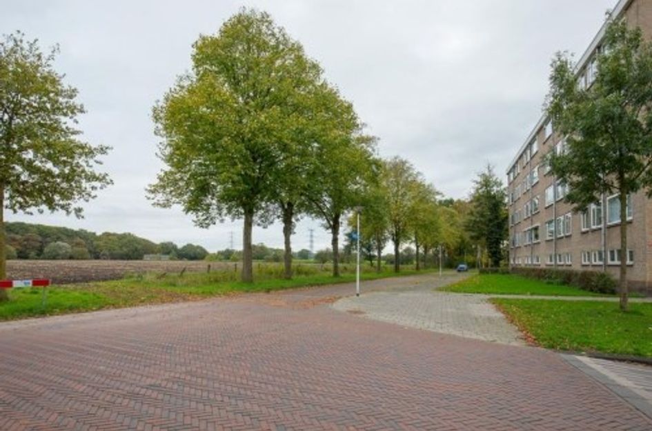 J J Van Deinselaan ONG