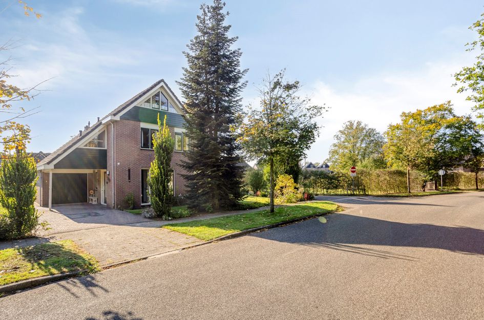 Strodijk 1