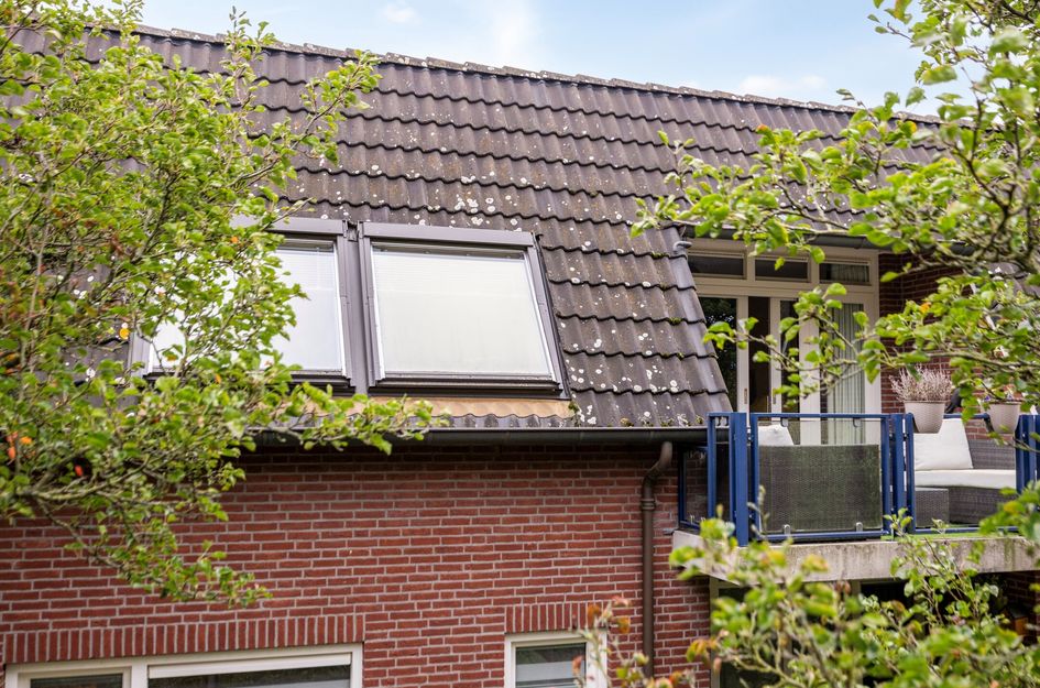 Schoolstraat 6H
