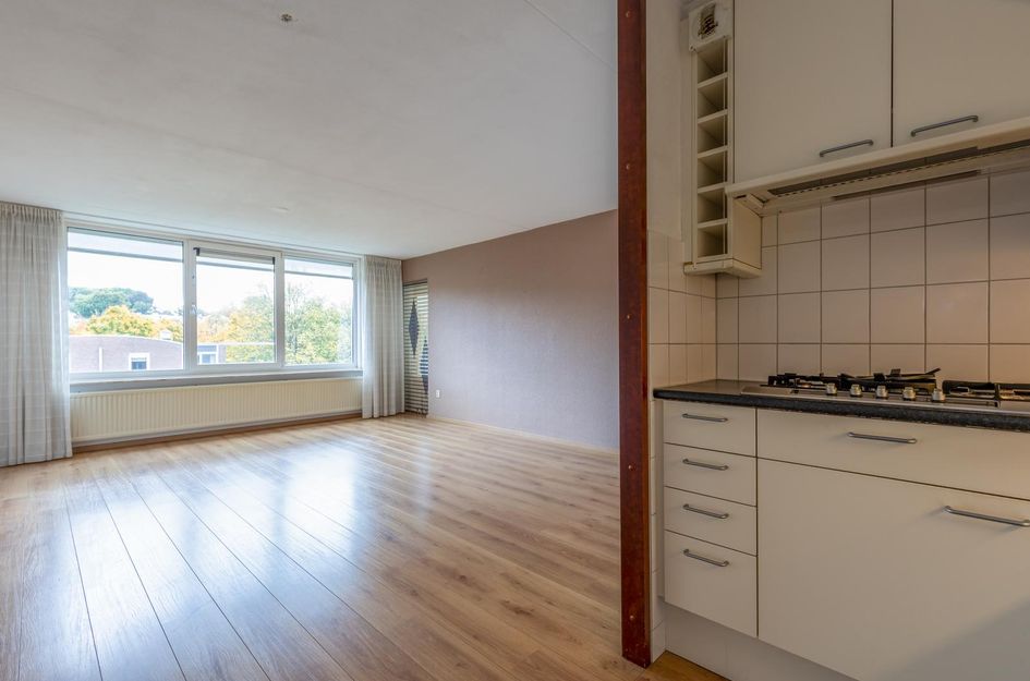 Blijdestein 24