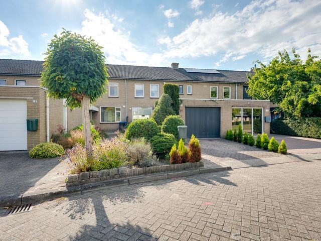 Elisabethpark 20, Hoeven