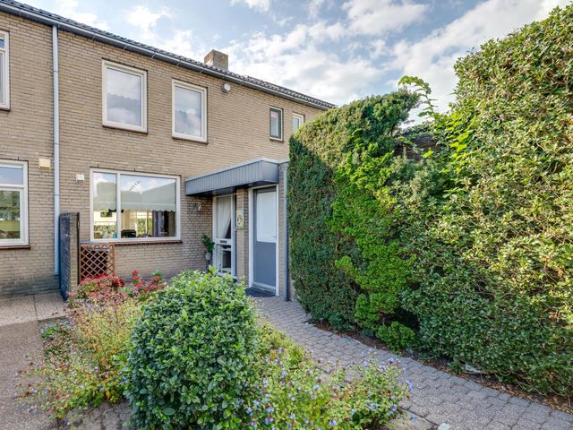 Elisabethpark 20, Hoeven