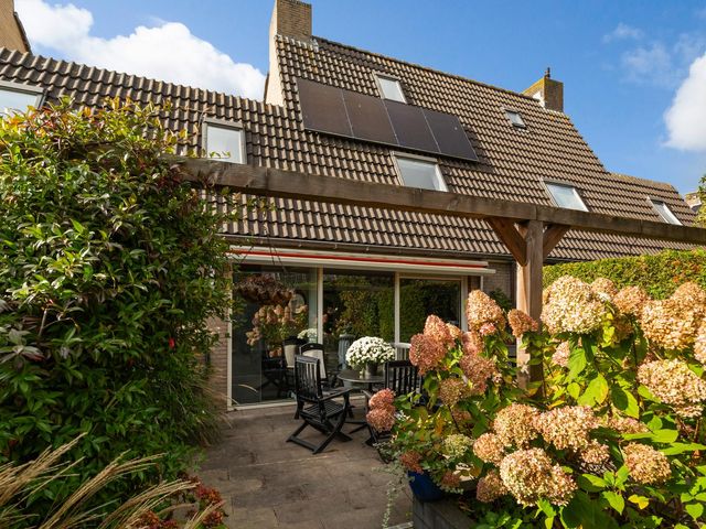 Lijn 20, Hoogvliet Rotterdam