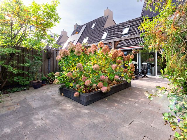 Lijn 20, Hoogvliet Rotterdam