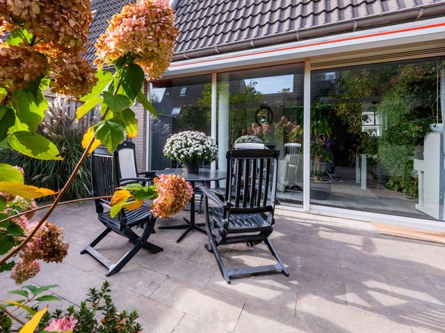 Lijn 20, Hoogvliet Rotterdam