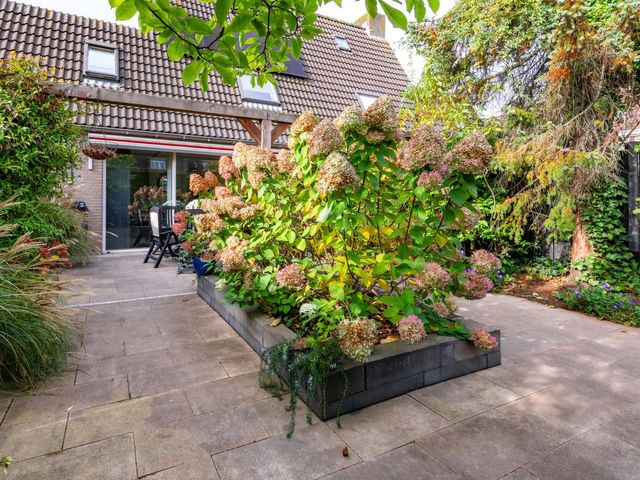 Lijn 20, Hoogvliet Rotterdam