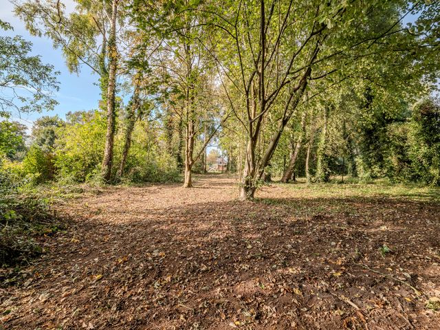 Zuiderdiep 481, Nieuw-Buinen