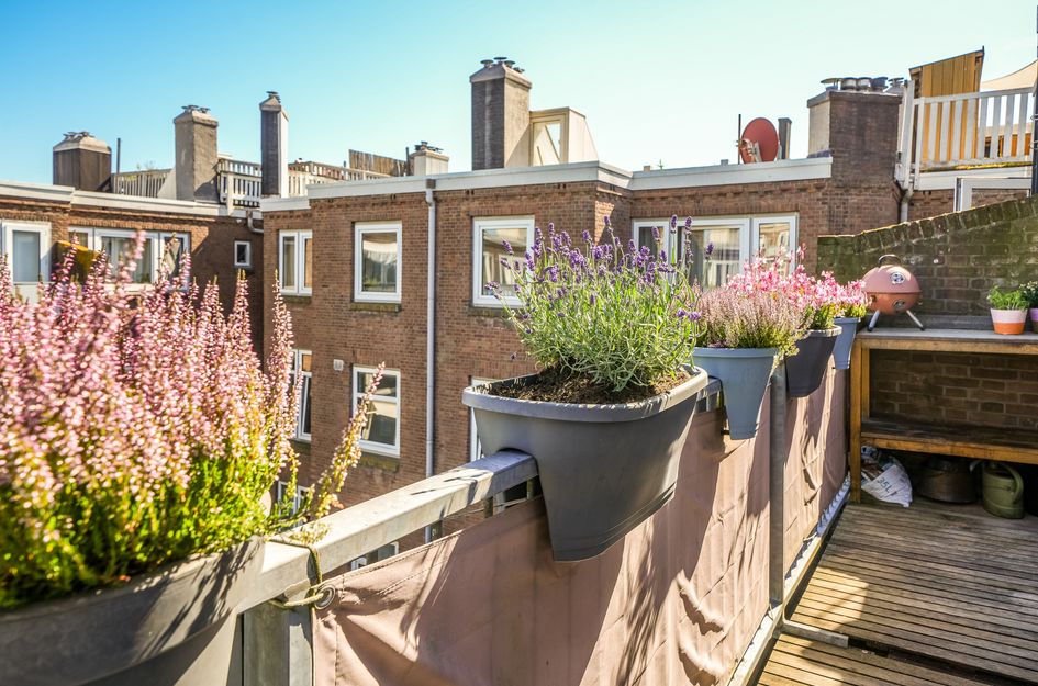Persijnstraat 5B