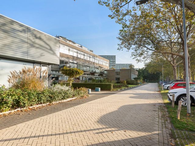 P C Boutenssingel 113, Capelle Aan Den IJssel