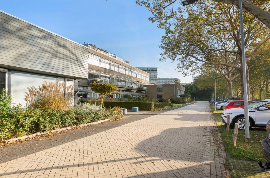 P C Boutenssingel 113