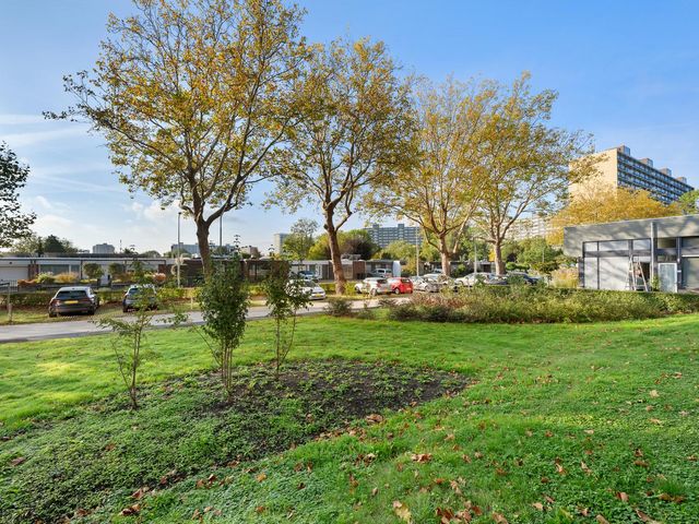 P C Boutenssingel 113, Capelle Aan Den IJssel