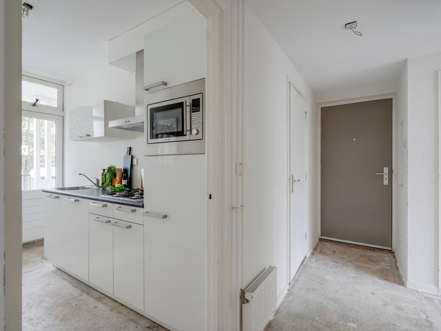 Auriollaan 98, Utrecht