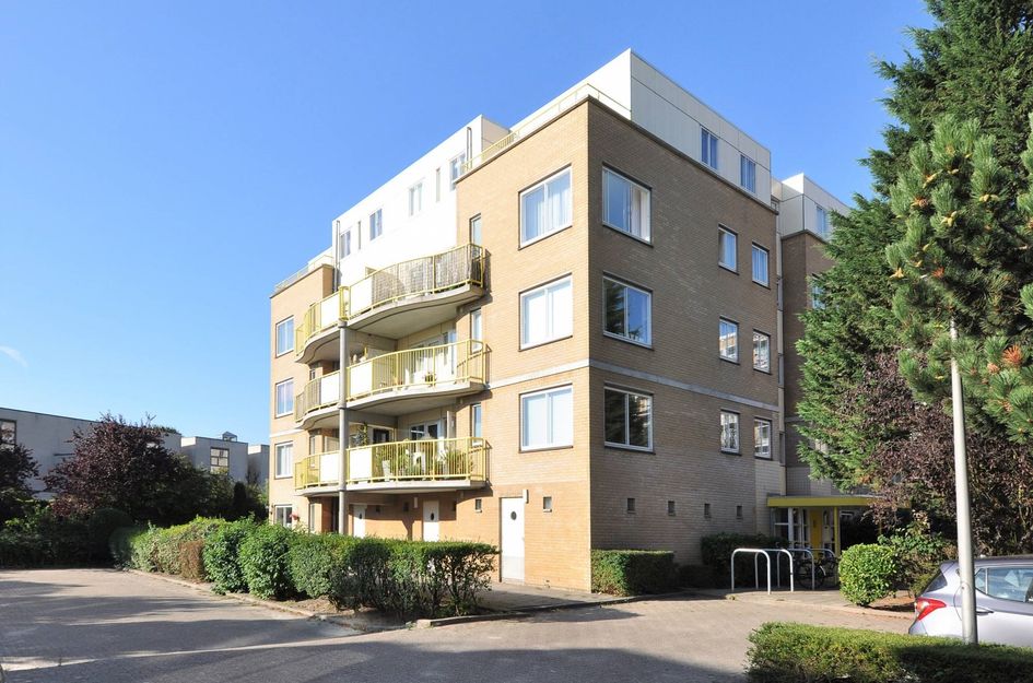 Louis Davidsstraat 100