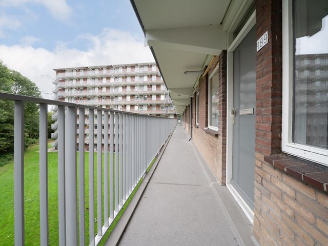 Fluitekruidweg 189, Zaandam