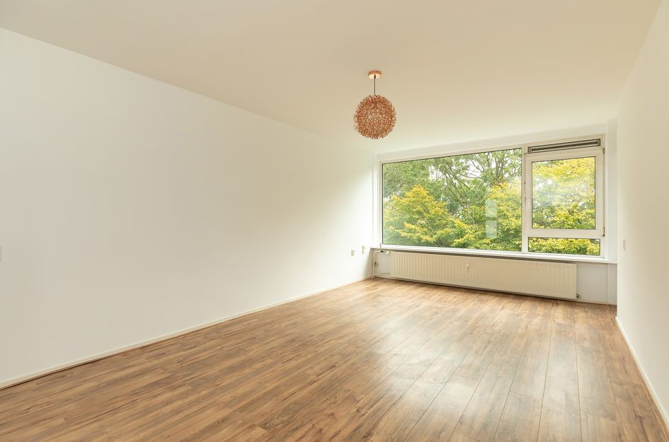 Oostelijk Halfrond 145