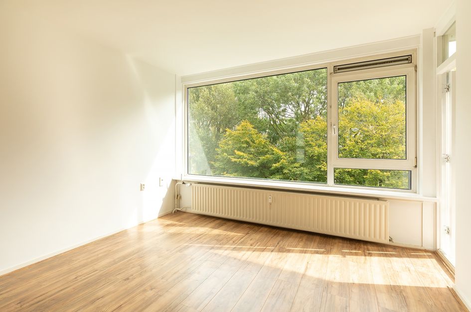 Oostelijk Halfrond 145