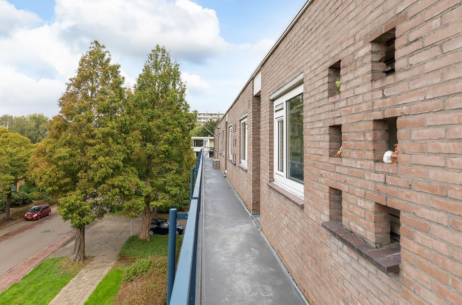 Oostelijk Halfrond 145