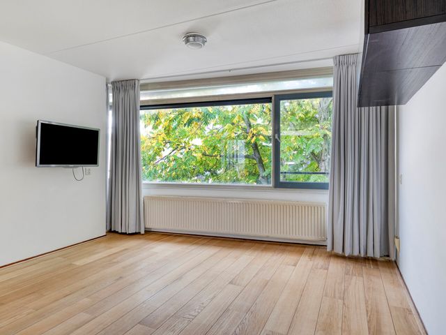 Tweede Jacob van Campenstraat 128C, Amsterdam