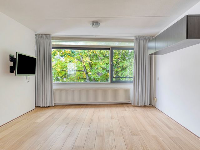 Tweede Jacob van Campenstraat 128C, Amsterdam