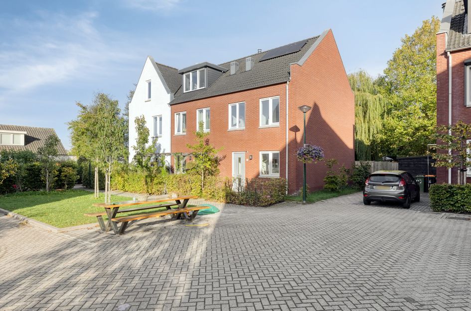 Lion Cachethof 20
