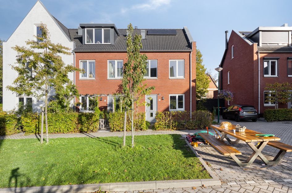Lion Cachethof 20