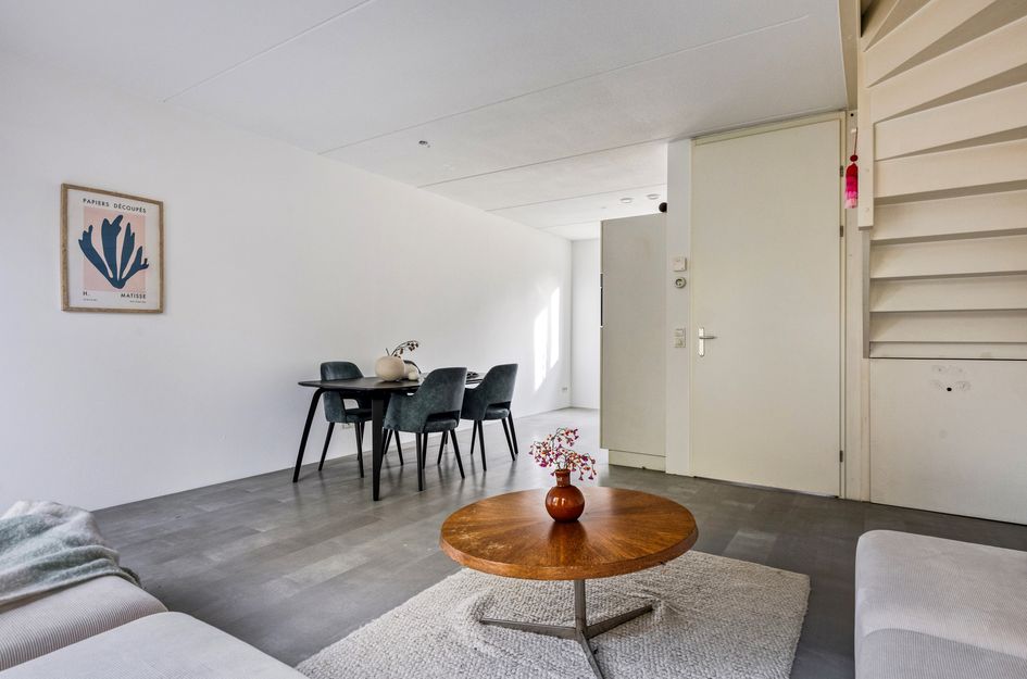 Lion Cachethof 20
