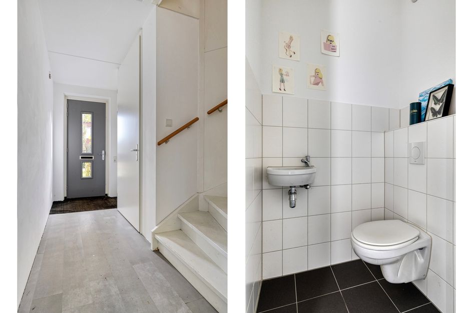 Lion Cachethof 20