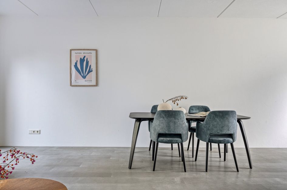 Lion Cachethof 20