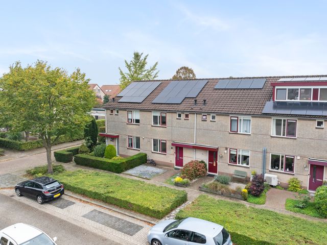 Schapenweide 157, Duiven