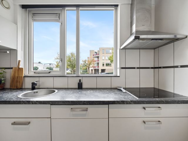 Schapenweide 157, Duiven