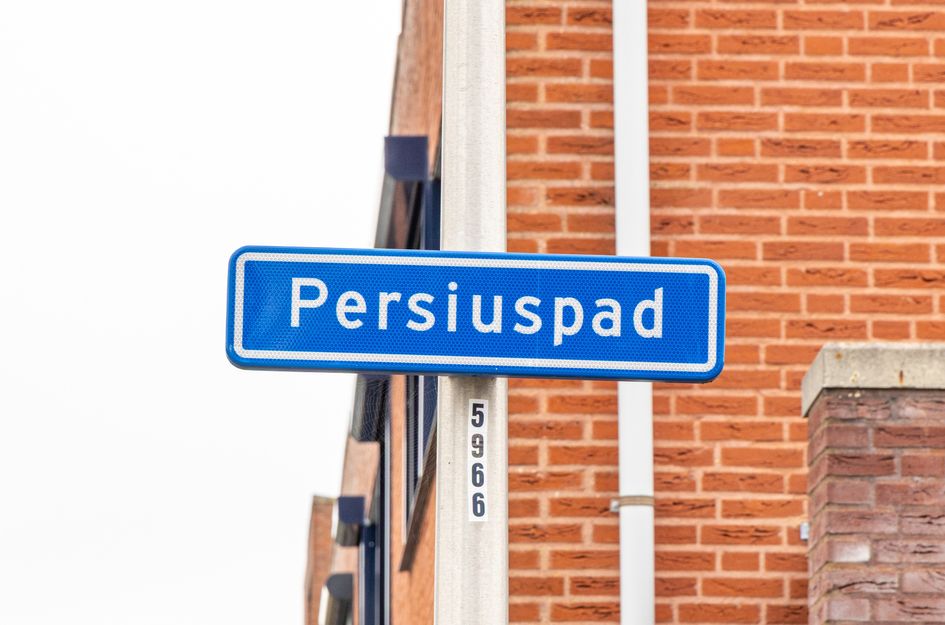 Persiuspad 12