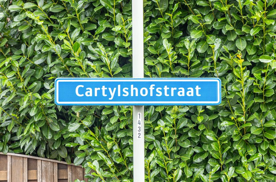 Cartylshofstraat 19
