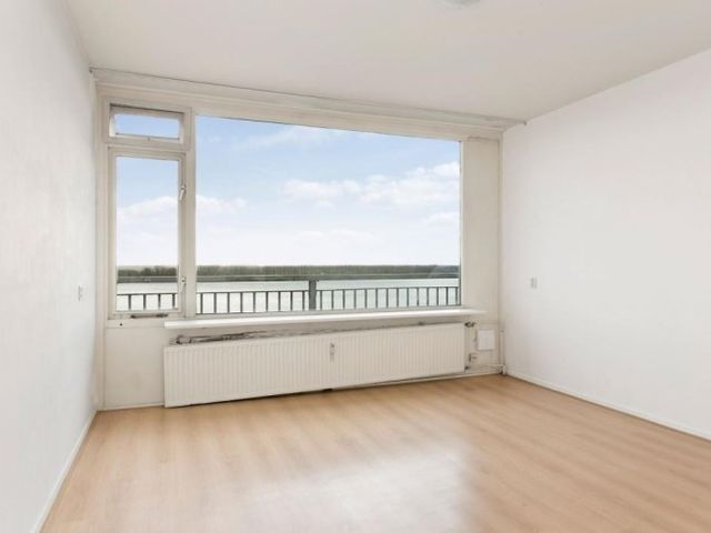 Saffierstraat , Alphen aan den Rijn