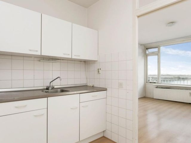 Saffierstraat , Alphen aan den Rijn