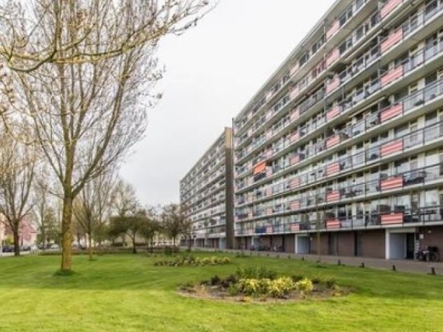 Trekvogelweg , Amersfoort