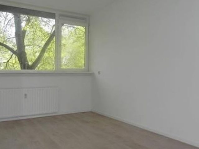 Trekvogelweg , Amersfoort