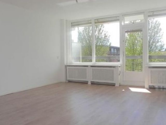 Trekvogelweg , Amersfoort