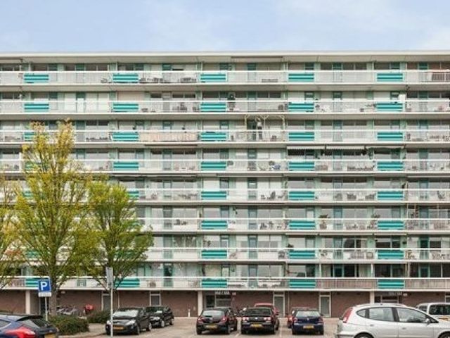 Spreeuwenstraat , Amersfoort