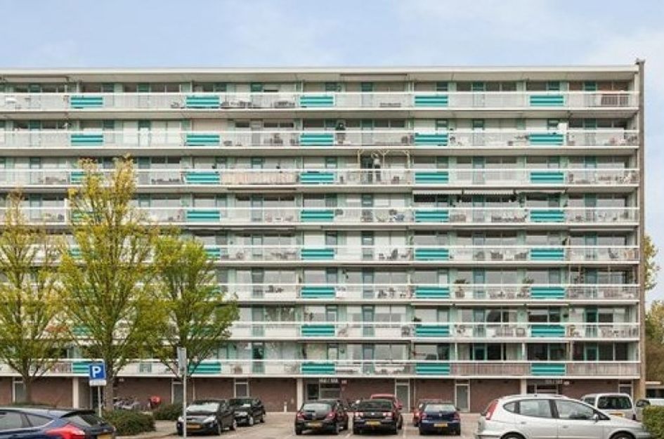 Spreeuwenstraat