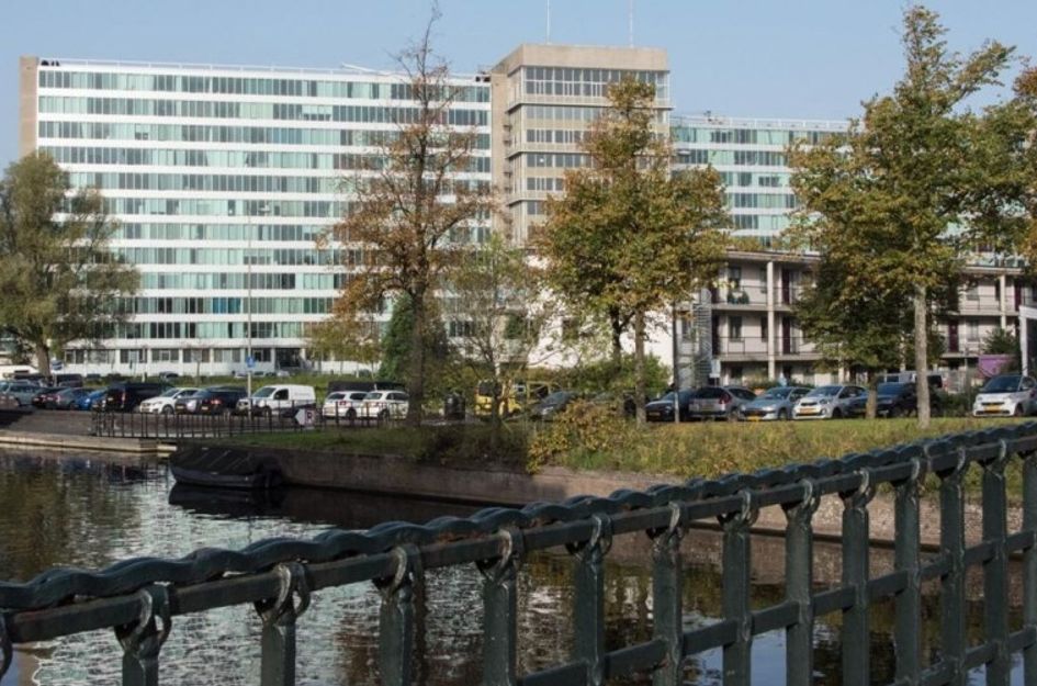 Bos en Lommerplantsoen