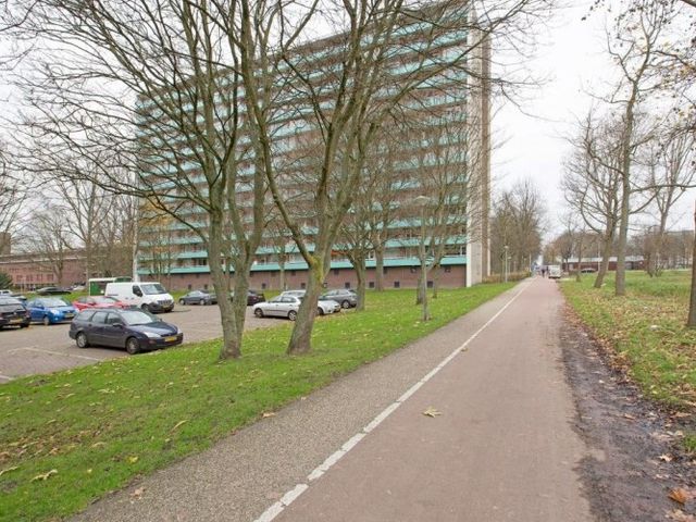 Langswater , Amsterdam