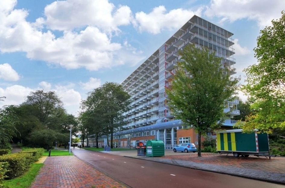 Hoogoord 