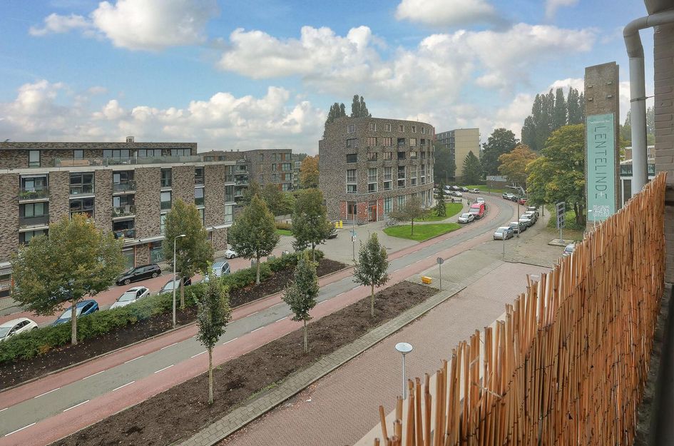 Haagbeuklaan 52